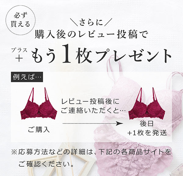 購入後のレビュー投稿で+もう1枚プレゼント